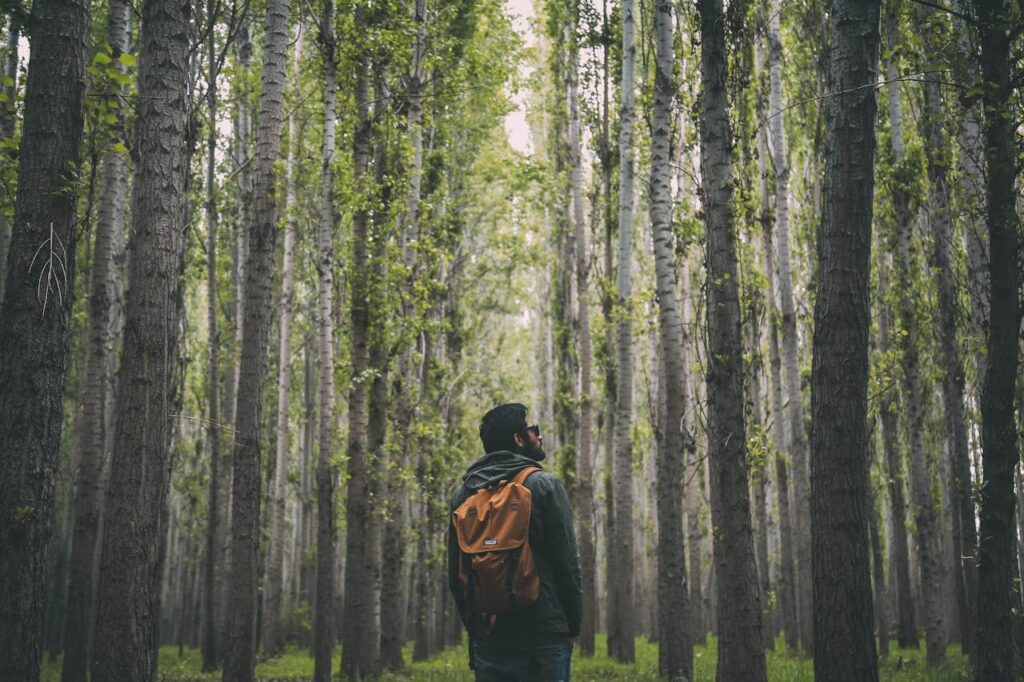 pexels-ozgomz-840719