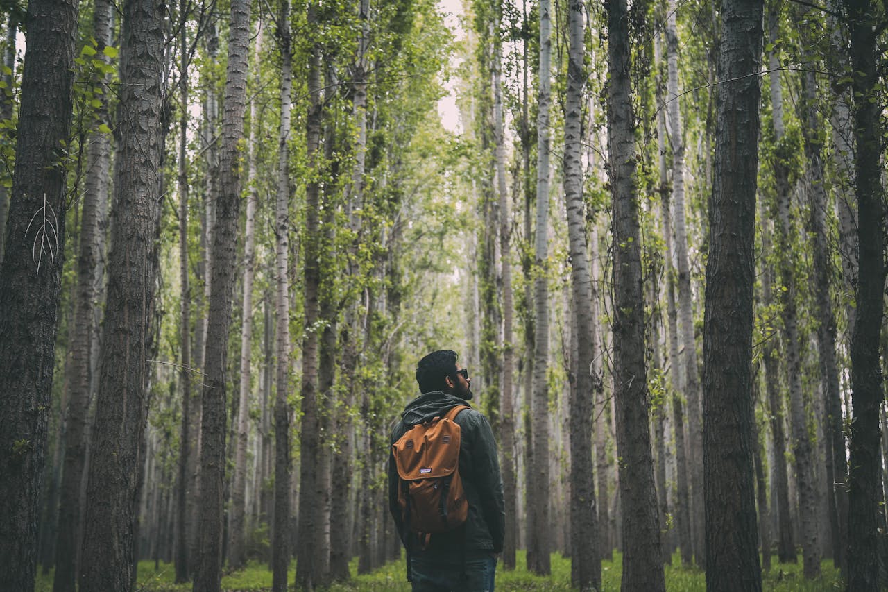 pexels-ozgomz-840719